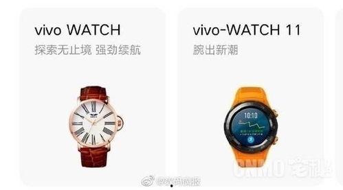 vivowatch最新爆料,颠覆传统,智能穿戴新篇章即将开启”